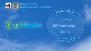 Simplifying Salesforce Data Management with GridMate