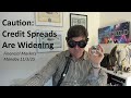 Caution: Credit Spreads Are Widening - Fin Mkts 11/3/25