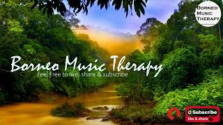 35 Minutes Instrumental Sape Music | Borneo Island Traditional Instrumen | Relaxing Music | Borneo