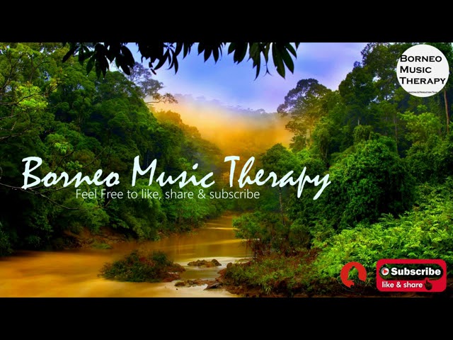 35 Minutes Instrumental Sape Music | Borneo Island Traditional Instrumen | Relaxing Music | Borneo class=