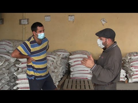 #მოსეს ვლოგი...სტუმრად ლაგოდეხში ალჯეოს კომბინირებული საკვების ბაზაზე....