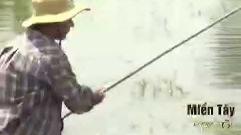 Tinh Hoa Sản Vật Mùa Nước Nổi Cá Linh Bông Điên Điển Ngon Lành Bữa Cơm Nhà