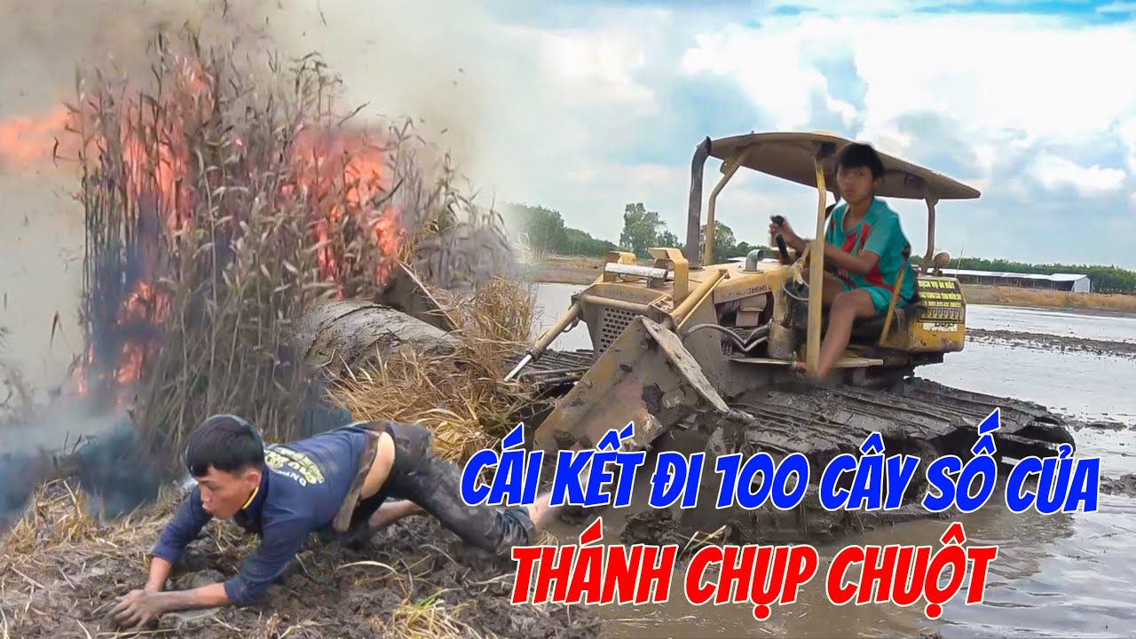 Tài Xế Nhí Và Thánh Bắt Chuột Phối Hợp Bắt Bầy Chuột Khủng Theo Lời Đồn Chủ Xe-Và Cái Kết