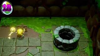 Zelda Echoes of Wisdom [18]: I Have No Enemies Here