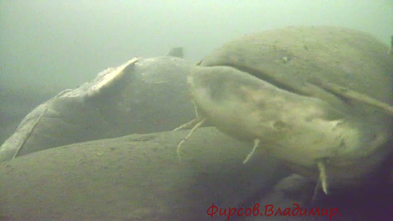 28 февраля 2026 г.