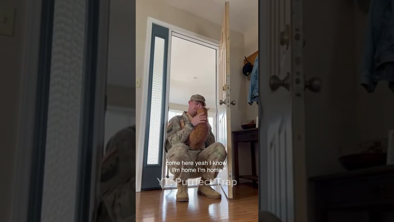 Soldier Comes Home — His Cat’s Reaction Says Everything 🐱❤️