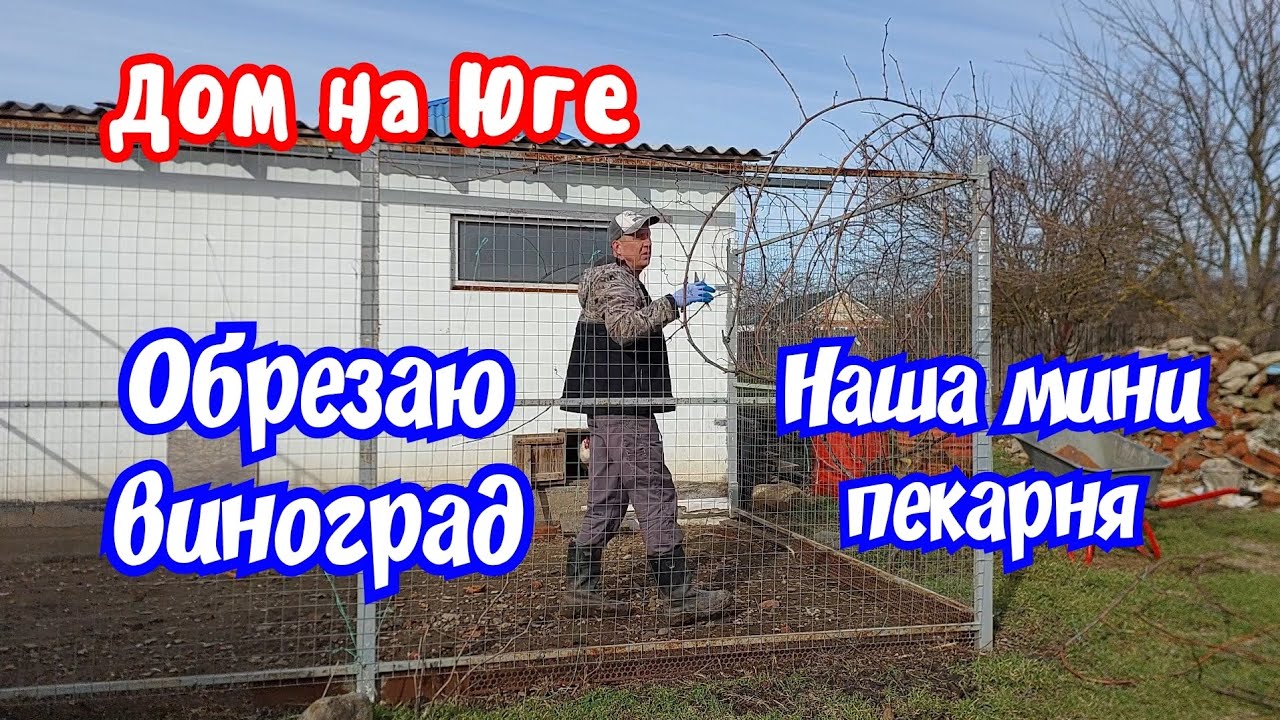Дом на Юге. Наша мини пекарня. Обрезаю виноград. 