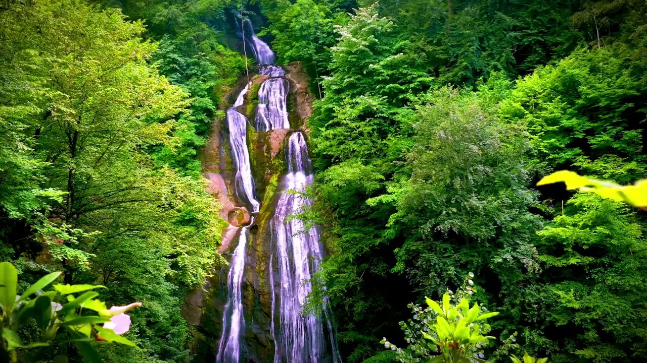 Tall Waterfall with tropical birds calling for meditation, sleep, anxiety relief, & self care.