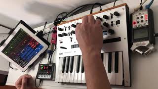 Jam Korg Monologue, Korg NTS-1 y Xynthesizr