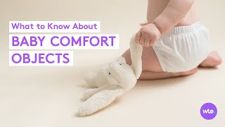 Loveys, Security Blankets and Comfort Objects - Everything Parents Should Know screenshot 5