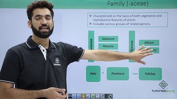 Class 11th – Family | The Living World | Tutorials Point