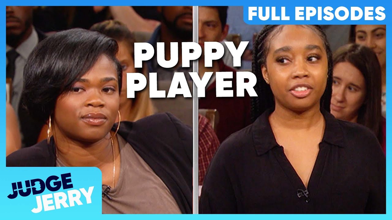if-you-can-t-afford-to-buy-a-dog-you-can-t-afford-to-own-one-full