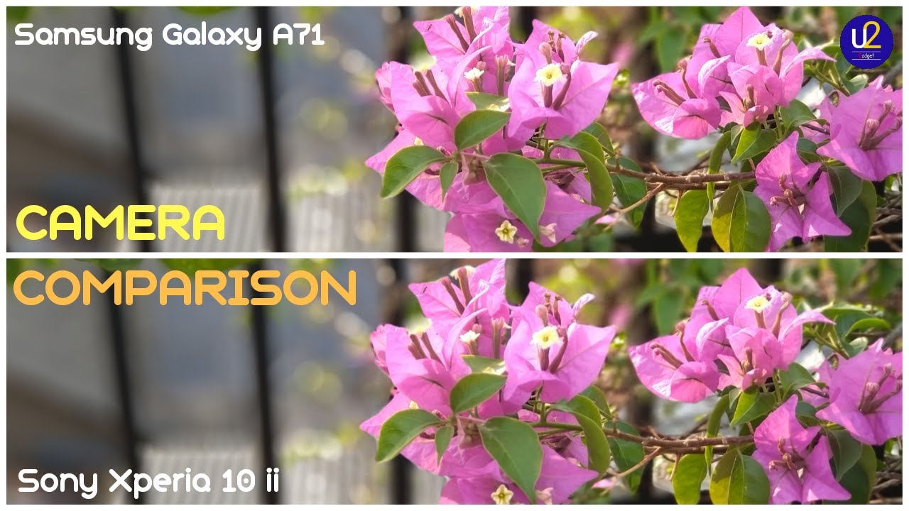 Camera Comparison, Galaxy A71 VS Sony Xperia 10 ii (INDONESIA) 
