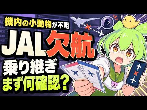 JAL機内の小動物が見つからず欠航…乗り継ぎがある人は何から確認する？