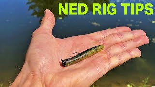 Choosing The Right Size Jig (Ned Rig Tips) 