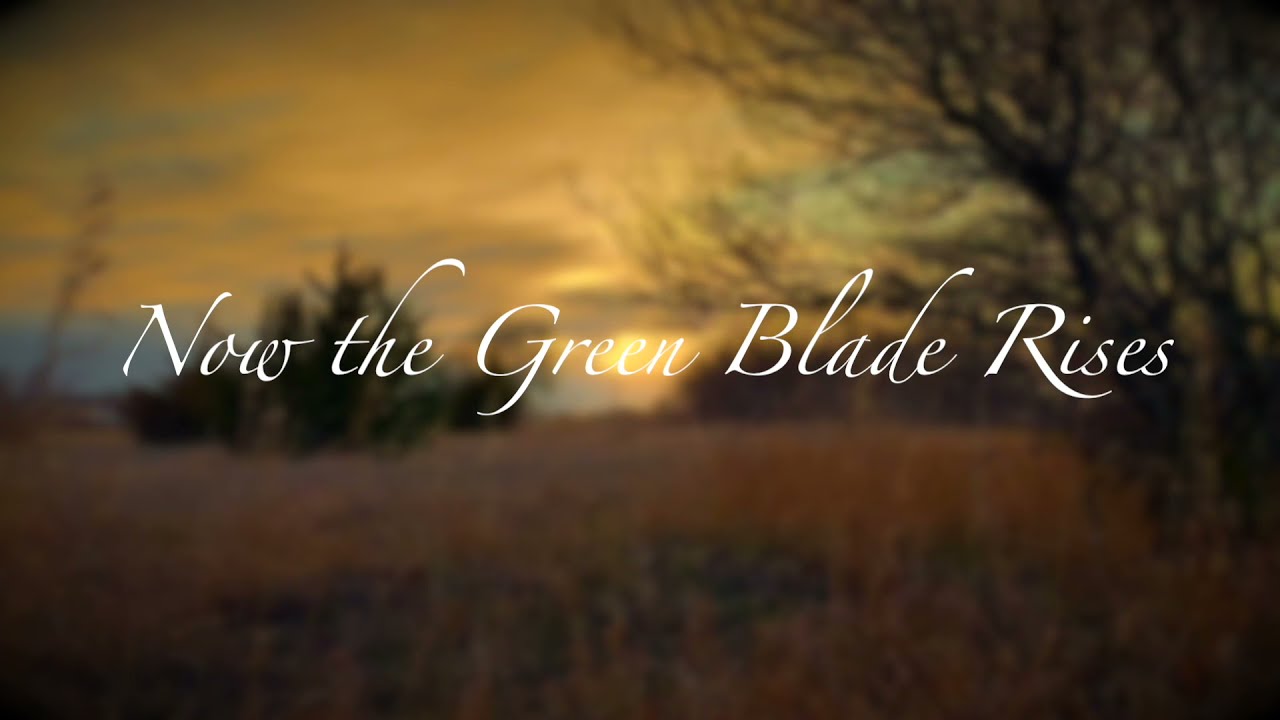 Now the Green Blade Rises (with lyrics) YouTube