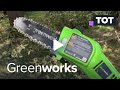 Greenworks Pole Saw (1 Year Later) ⭐️ Review