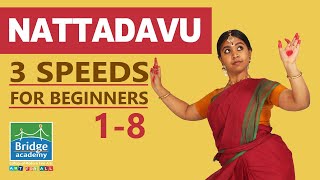 Nattadavu in 3 speeds for Beginners (1 to 8) | Bharatanatyam Basics Adavus | Bridge Academy