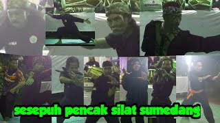 sesempuh pencak silat sumedang tampil depan warga di kampung neglasari