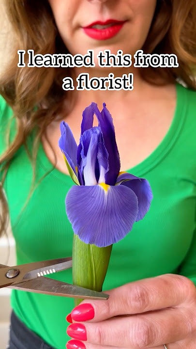 trim fresh cut flowers under water to extend their vase life! #florist #flowers #bouquet