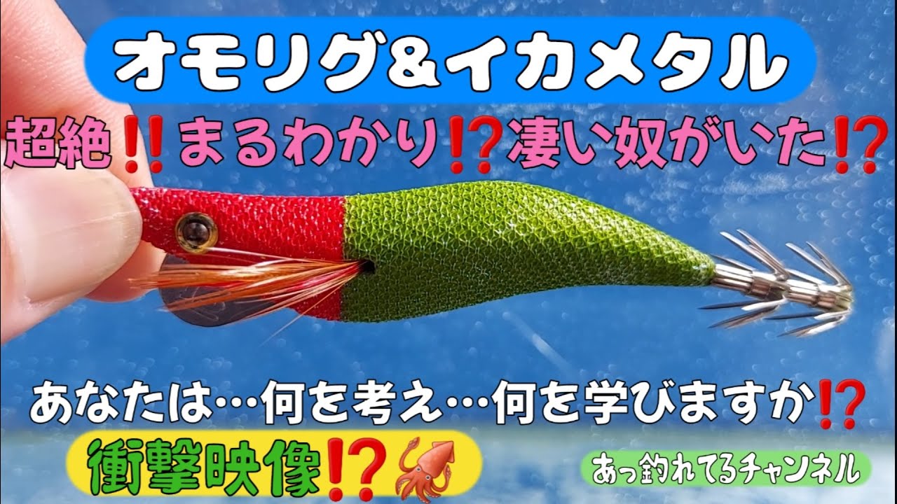 オモリグ】【イカメタル】オモリグ専用えぎと浮きスッテの動きを水槽