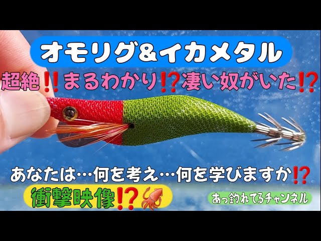 オモリグ】【イカメタル】オモリグ専用えぎと浮きスッテの動きを水槽