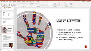 Lesson 16 Characteristics of Culture Opt E1