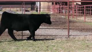 LOT 2