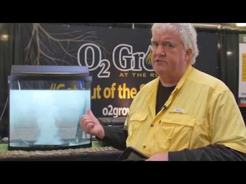 O2 Grow Increases Dissolved Oxygen Levels in Water