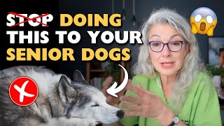 What Is The BEST Senior Dog Nutrition Advice?? Top TIPS & Myths BUSTED!