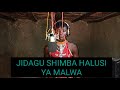 JIDAGU SHIMBA HALUSI YA MALWA