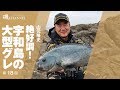 山元隆史『絶好調！宇和島の大型グレ』｜第18回　磯チャンネル