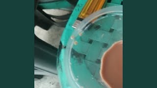 Download Lagu Dj party rain is falling MP3