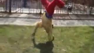 Interview With Rafaga De Viento 2001