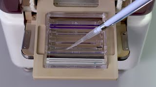 How to Use the Auto2D® Automated 2-D Gel Electrophoresis Device Update