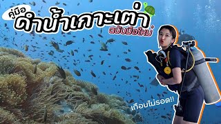 On-the-เลาะ : คู่มือดำน้ำที่เกาะเต่า ฉบับมือใหม่ 101 !! | Mooktukk