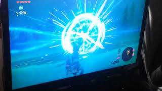 A Lynal In 10 Seconds In Botwno Loot