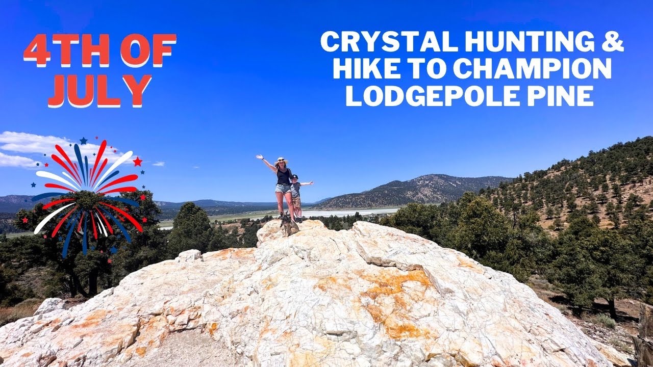 4th of July Crystal Hunt & Epic Hike to World's Largest Champion LodgePole Pine In Big Bear Lake!