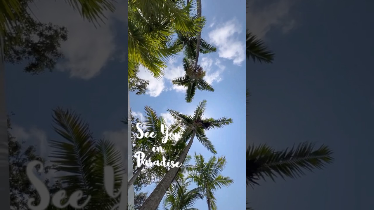 See you in Paradise