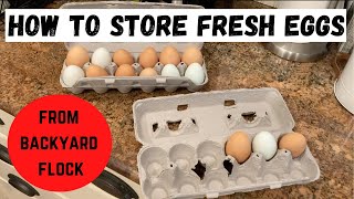 How to store FRESH EGGS from Backyard Chickens