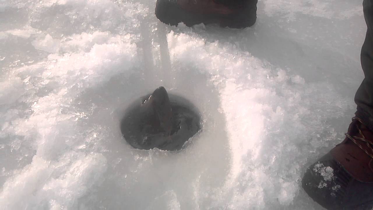 Ice fishing Adirondacks of New York, West Caroga Lake YouTube