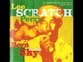 Lee scratch perry  born in the sky 2001