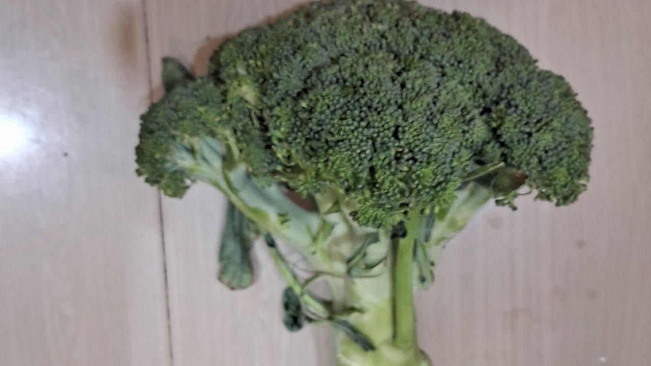 Niramish Brocoli Recipe