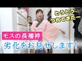 モスの長襦袢の劣化をお見せします！お針子動画から飛び出たお土産！