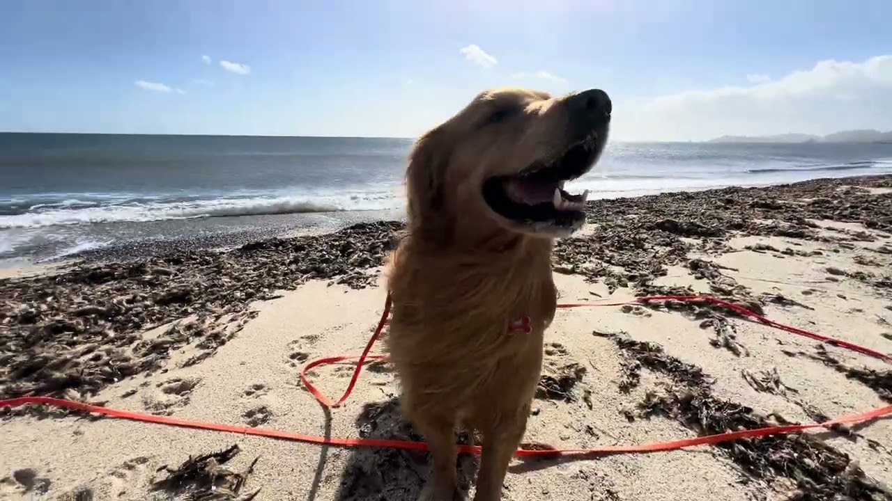 Winter in South Sardinia and walk with Bruno Pinko