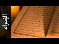 سورة الإسراء شيرزاد عبدالرحمن طاهر Surah Al Israa Shirazad Taher سورة الإسراء شيرزاد عبدالرحمن طاهر Surah Al Israa Shirazad Taher
