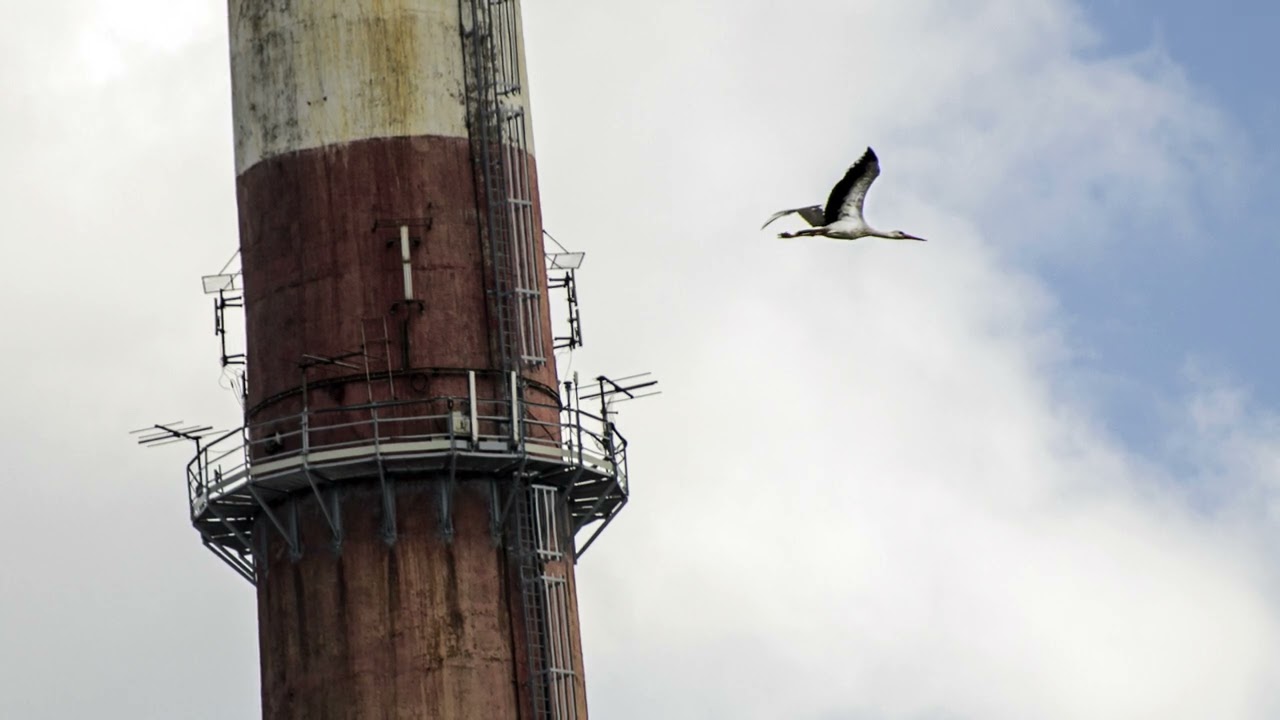 10.Egzekucyjny PLuton 