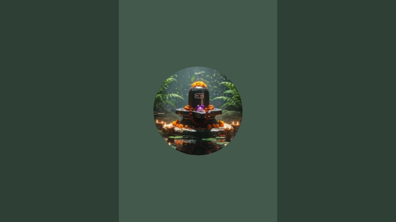 Live study with me preparation for 