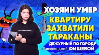 ДПГ. Неделя | Хозяин умер, квартиру захватили тараканы