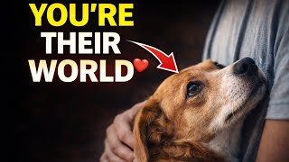 7 Signs Your Dog Thinks You’re Their World (Most Owners Miss This)